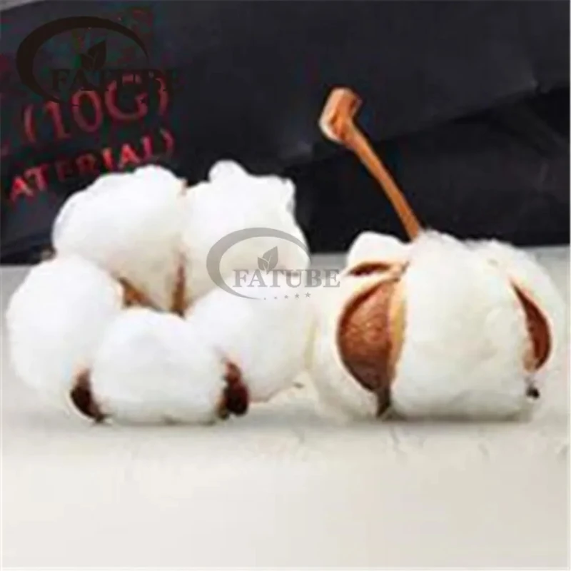 Flashwicks Short Staple AngoRa - Vape Accessory recensie en prijs